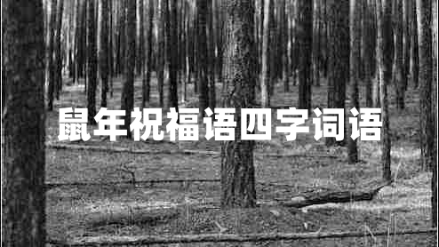 鼠年祝福語四字詞語