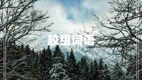 膠組詞語 膠組詞語