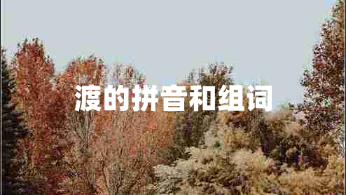 渡的拼音和組詞 渡的拼音和組詞