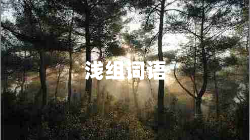 淺組詞語 淺組詞語