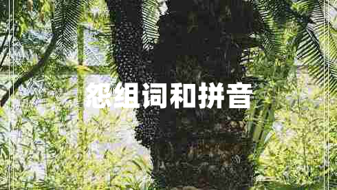 怨組詞和拼音