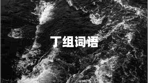 丁組詞語(yǔ) 丁組詞語(yǔ)
