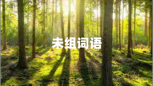 未組詞語