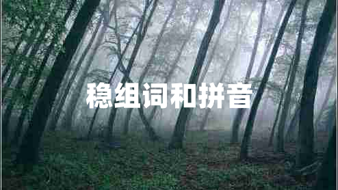 穩(wěn)組詞和拼音