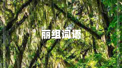麗組詞語(yǔ) 麗組詞語(yǔ)