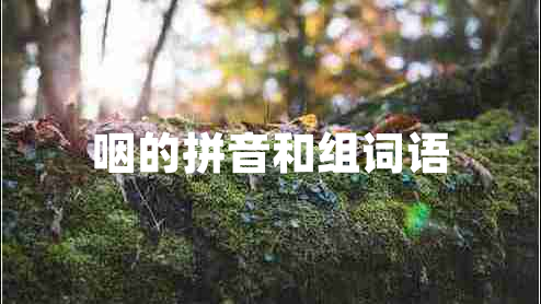 咽的拼音和組詞語