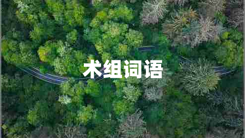 術(shù)組詞語 術(shù)組詞語