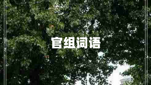 官組詞語(yǔ)