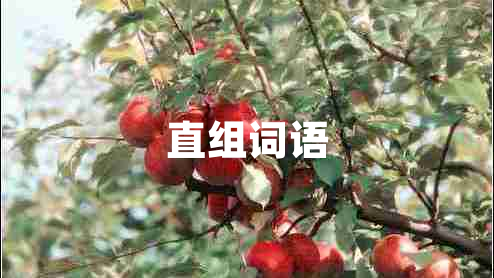 直組詞語