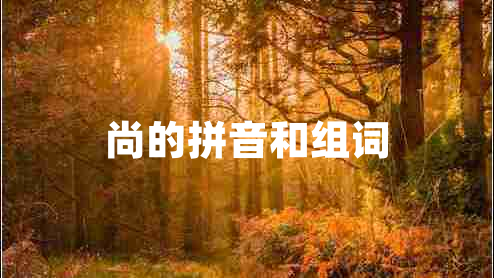 尚的拼音和組詞