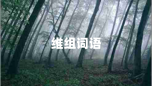 維組詞語 維組詞語