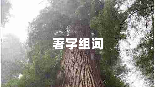 著字組詞 著字組詞