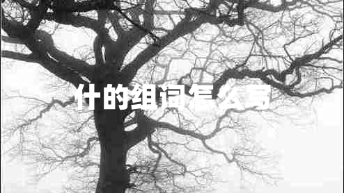 什的組詞怎么寫