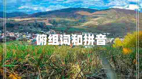 俯組詞和拼音