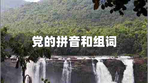 黨的拼音和組詞