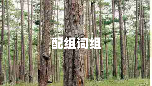 配組詞組 配組詞組