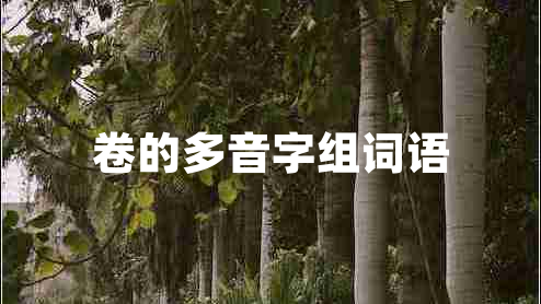 卷的多音字組詞語