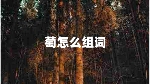 萄怎么組詞