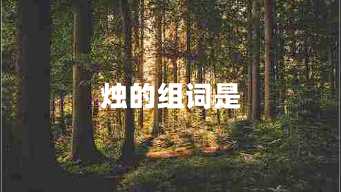燭的組詞是