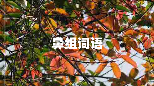 鼻組詞語(yǔ)