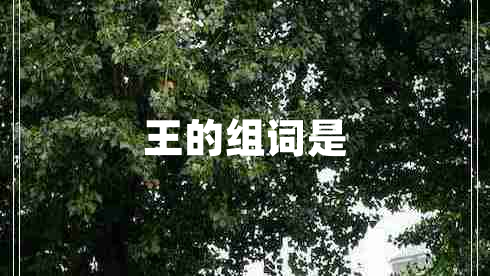 王的組詞是