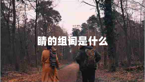 睛的組詞是什么