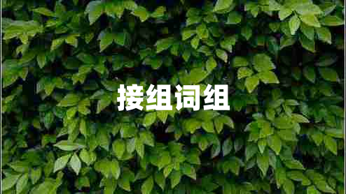 接組詞組 接組詞組