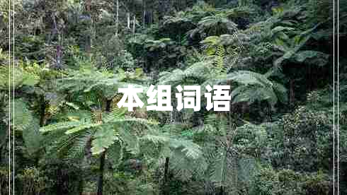 本組詞語(yǔ) 本組詞語(yǔ)