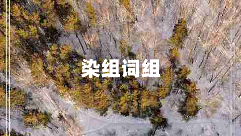 染組詞組 染組詞組