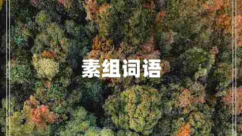 素組詞語(yǔ)
