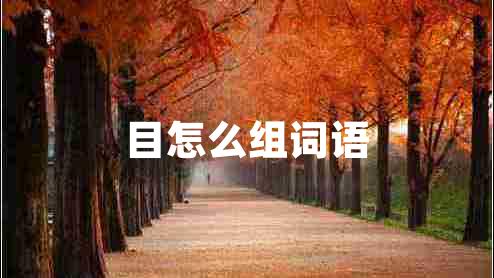 目怎么組詞語 目怎么組詞語