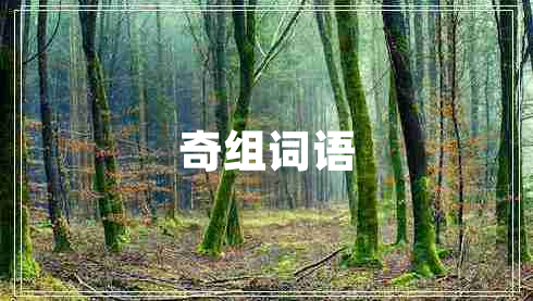 奇組詞語(yǔ)