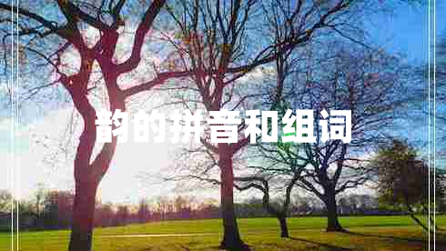 韻的拼音和組詞