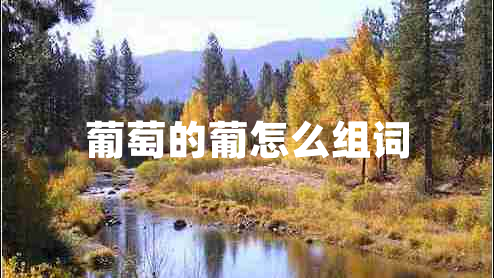 葡萄的葡怎么組詞