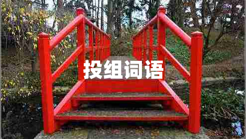 投組詞語