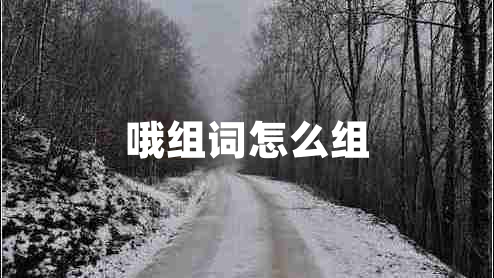 哦組詞怎么組