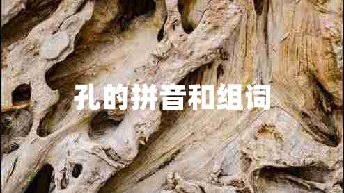 孔的拼音和組詞