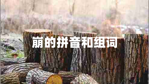 崩的拼音和組詞