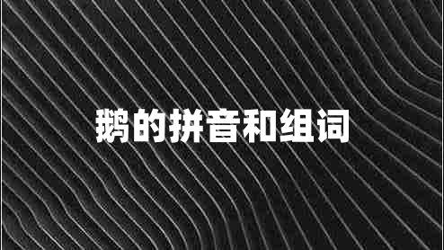 鵝的拼音和組詞