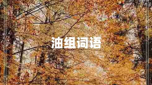 油組詞語(yǔ)