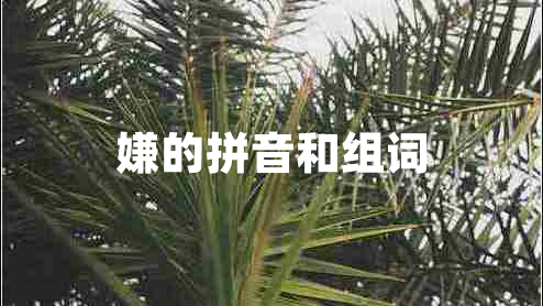 嫌的拼音和組詞