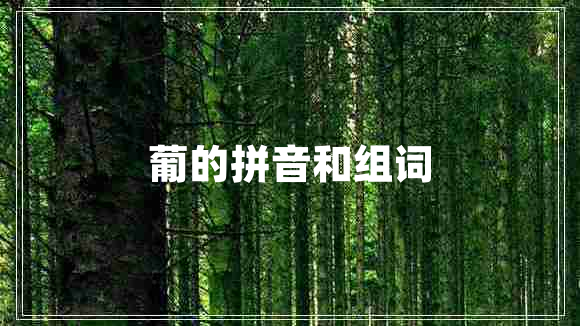 葡的拼音和組詞