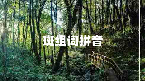斑組詞拼音 斑組詞拼音