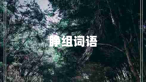 睜組詞語(yǔ)