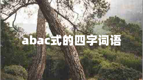 abac式的四字詞語
