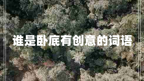 誰是臥底有創(chuàng)意的詞語