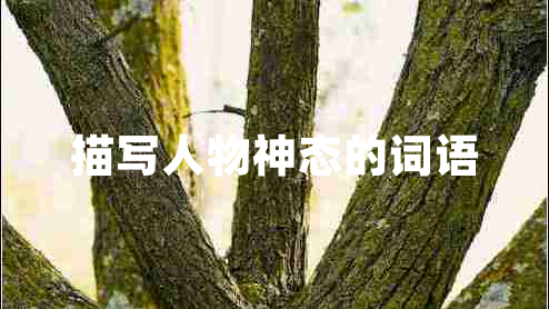 描寫(xiě)人物神態(tài)的詞語(yǔ)