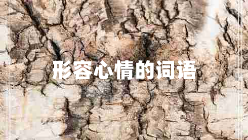 形容心情的詞語(yǔ)