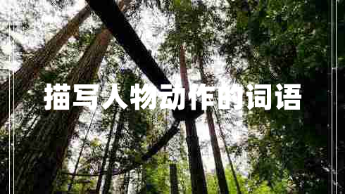描寫人物動(dòng)作的詞語