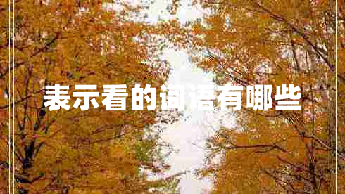 表示看的詞語有哪些
